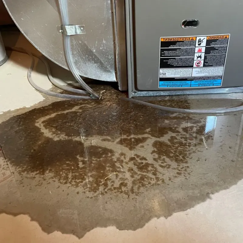 Pipe Burst and Leak Restoration in Nashville, AR