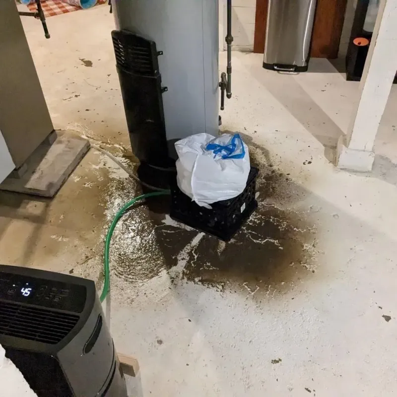 Sewage Backup Cleanup Service in Nashville, AR